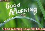 Good Morning Love Status Video