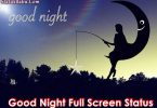 Good Night Full Screen Status Video